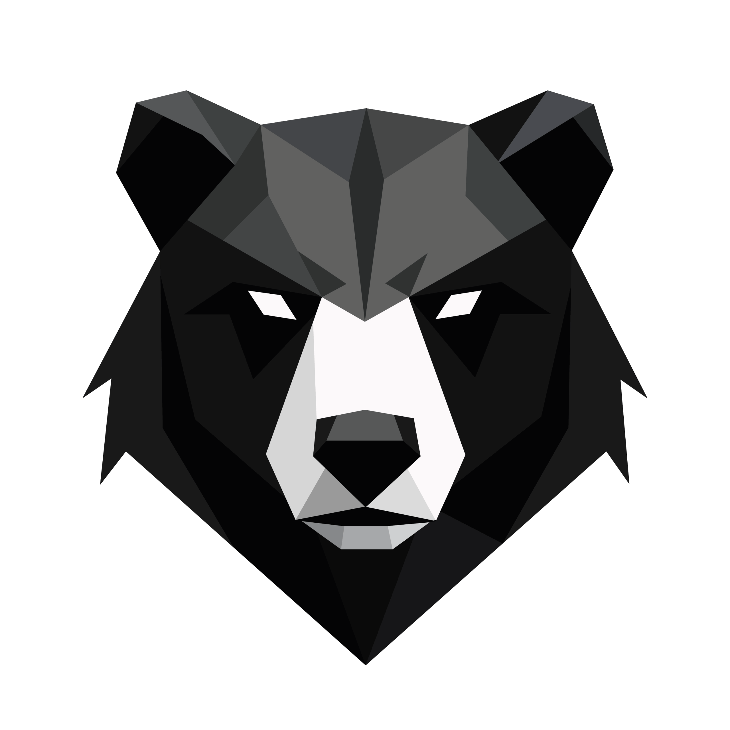 Vanguard Bear Logo